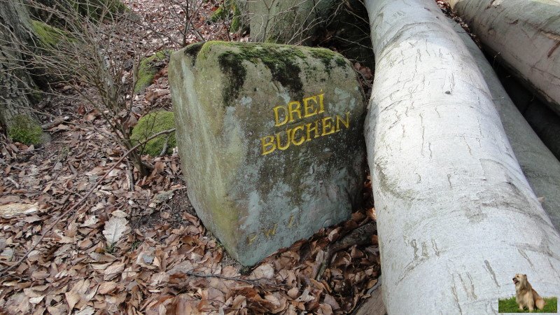 Ritterstein Nr. 014-2a Drei Buchen.JPG - Ritterstein Nr.14  Drei Buchen, als Widerlager der Forstverwaltung